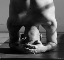 Yoga Adulti